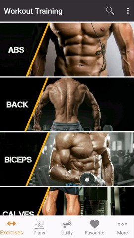 Body part workout online schedule